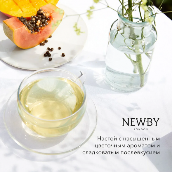 УЦЕНКА Чай Newby Восточная сенча, листовой, 100 гр