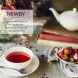 УЦЕНКА Чай Newby Клубника и Манго, 25 пакетов