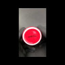 УЦЕНКА Молочник Julius Meinl, красный, 40мл